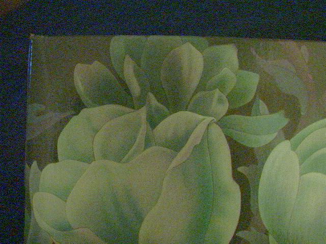 Inivisible Inks, Ink Pads and Pens